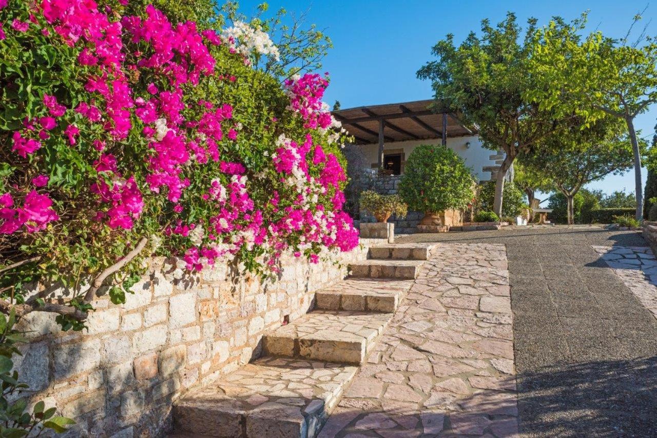 Villa Venus Avlémonasz Kültér fotó