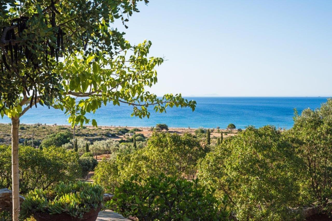 Villa Venus Avlémonasz Kültér fotó